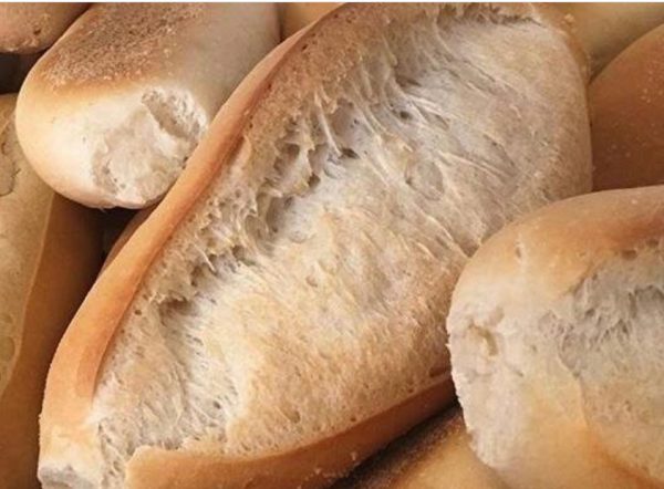 Fresh Cacia's Rolls
