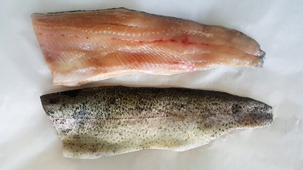 Fresh Rainbow Trout, 5 lb