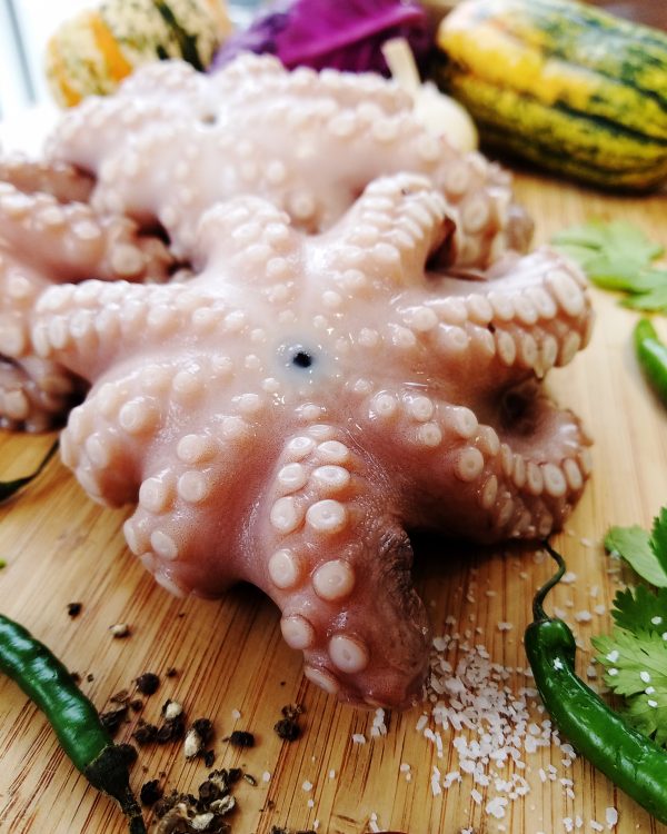 Spanish Octopus/Pulpo 2-4LB AVG