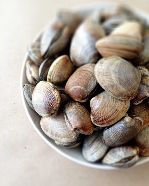 Littleneck Clams in Shell - Frozen
